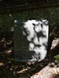 image of grave number 689720